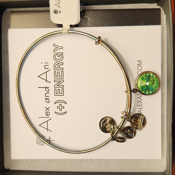 NEW in box Alex and Ani Energy bracelet - Picture 1 of 5
